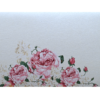 Shagun Envelope