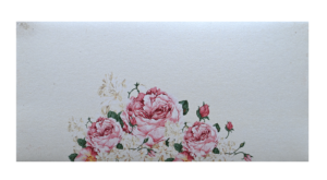 Shagun Envelope