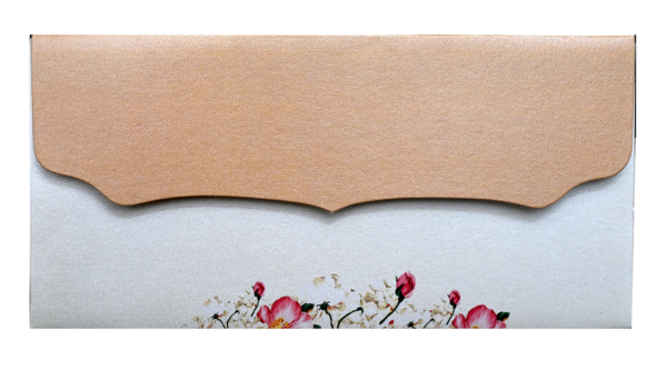 17-3 Shagun Envelope