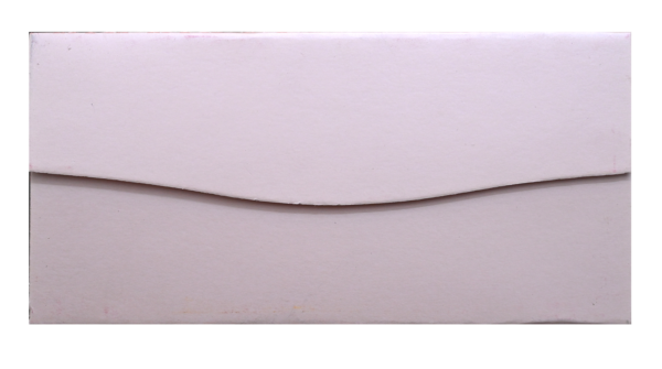 18-3 Shagun Envelope