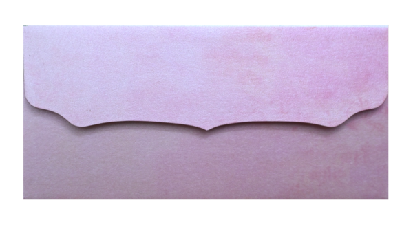 25-3 Shagun Envelope