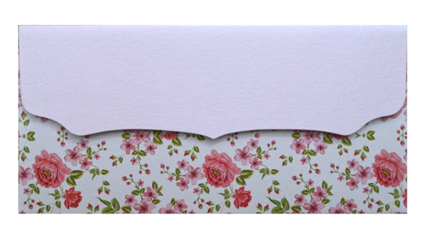 3-3 Shagun Envelope