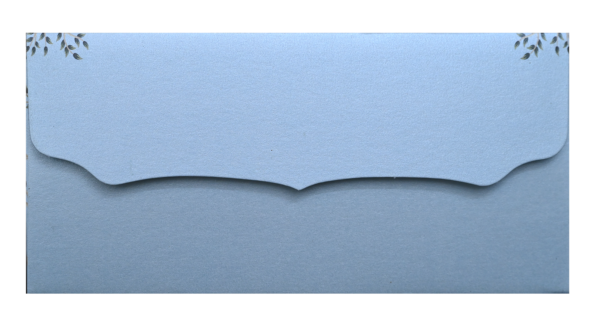 4-3 Shagun Envelope