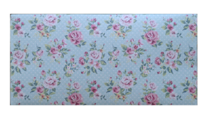 Shagun Envelope
